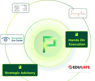 Our portfolio companies — strategic advisory and hands-on execution
